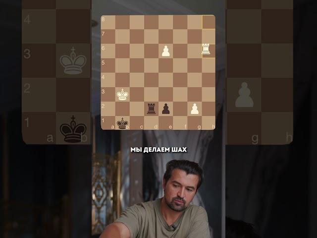 Жертва двух ладей #шахматы