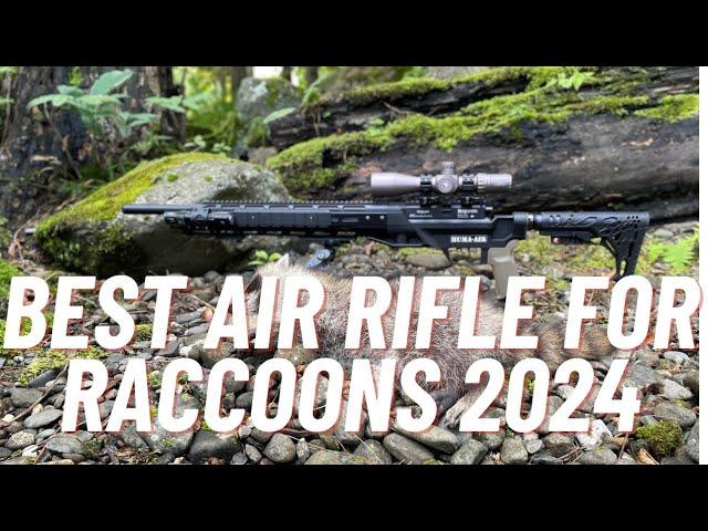 Best Air Rifle For Raccoons 2024 