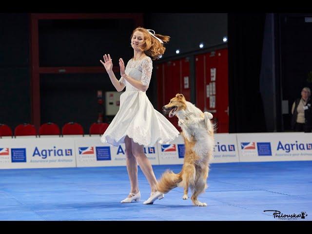 Dog Dancing World Championship 2022, Anastasiia Beaumont and border collie Yuki