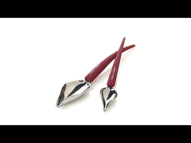 Zeroll Set of 2 Decorating Spoons