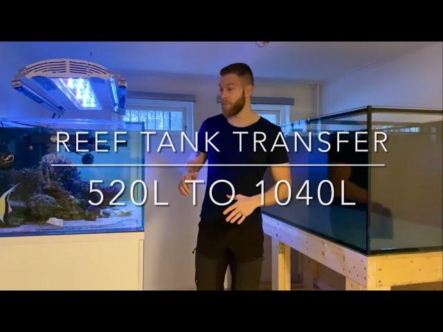 Reef tank transfer