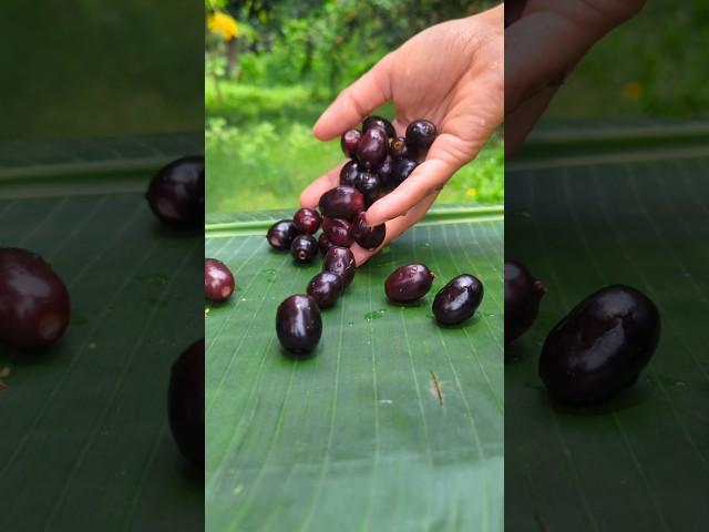 Mouth Watering Black Jamun Masala  #shorts #food #fruit #masala