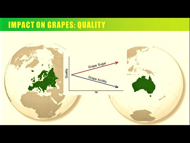 Clim4Vitis - Marco Moriondo – CNR-IBIMET, Florence, Italy