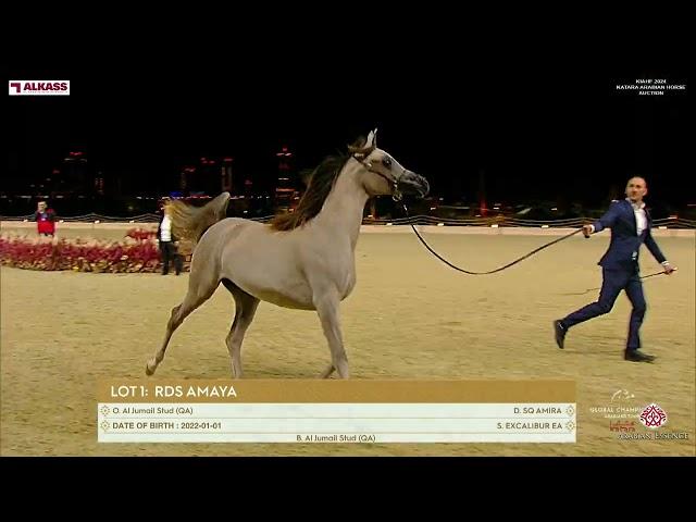 KIAHF 2024   Katara Arabian Horse Auction