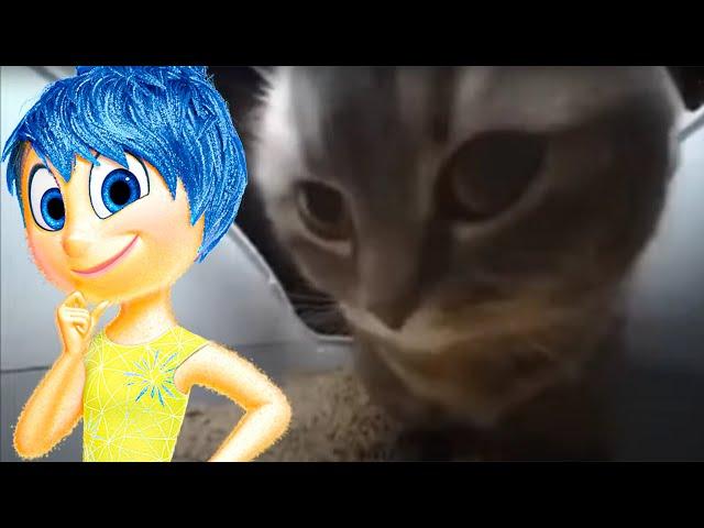 Inside Out 2 - Chipi Chipi Chapa Chapa (COVER #13)