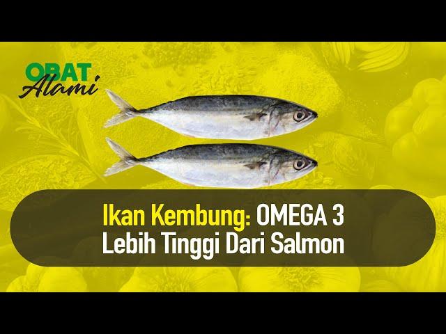 TERUNGKAP! Ini Manfaat Sering Konsumsi Ikan Kembung | Obat Alami