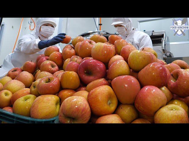 100% fruit juice! The process of making clean apple juice in a Korean factory