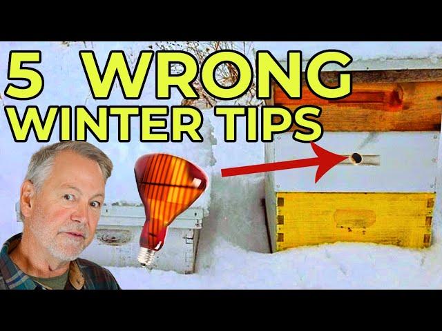 Beekeeping Tips That Are Just Plain Wrong!