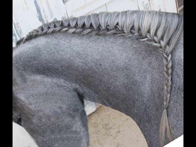 How to do a Running Braid on your Horse