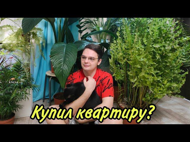 Купил квартиру? Я вернулся . Джунгли в квартире.