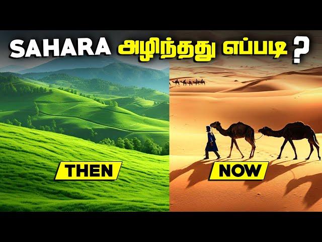 SAHARA அழிந்தது எப்படி ? - Green Sahara Desert