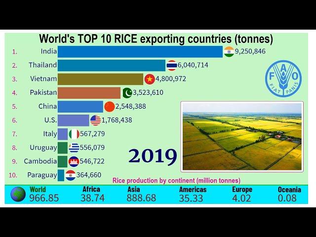 World largest rice exporting countries |TOP 10 Channel