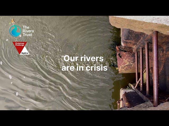 Support The Rivers Trust with The Big Give: Match-funding doubles your donations