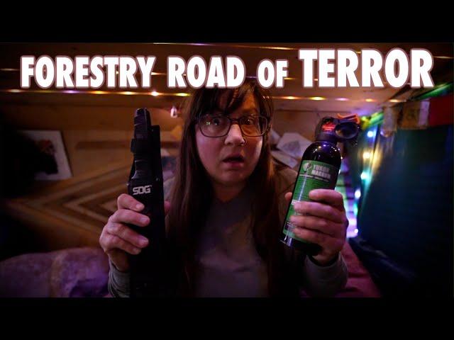 Scariest Night of Solo Female Vanlife || Forestry Road Boondocking USA