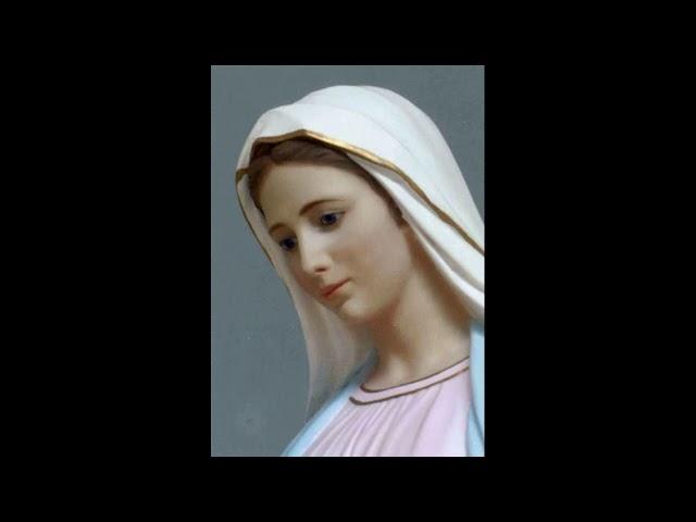 AS APARIÇÕES DE CARAPICUÍBA - Mensagem de Nossa Senhora em Carapicuíba-SP em 12/04/2020