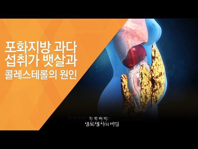 포화지방 과다 섭취가 뱃살과 콜레스테롤의 원인 - (20131106_481회 방송)_기름의 경고