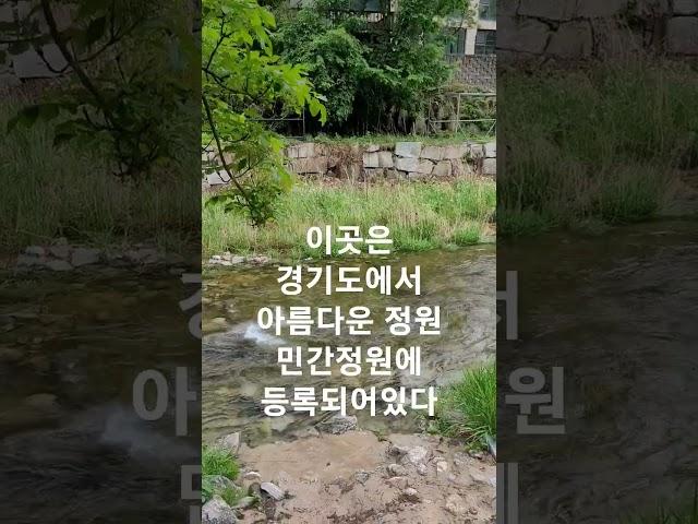 #타샤의정원251 #가평계곡 카페 #경기도계곡있는정원카페