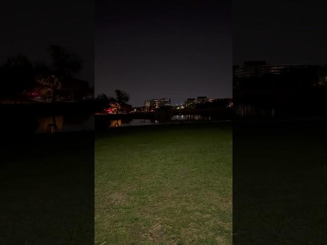 #littlelife #love #dog #dogmom #viralvideo #subscribe #video #like #shortvideo #shorts #short #fyp