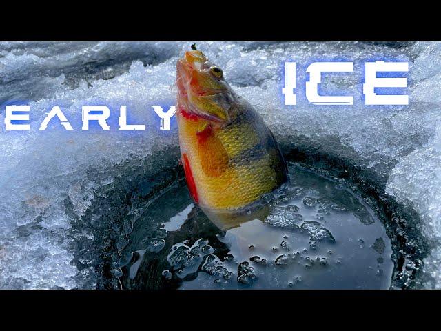 Early Ice! Catching Multi Species! JUMBO Perch! Best Day Ever Fishing!