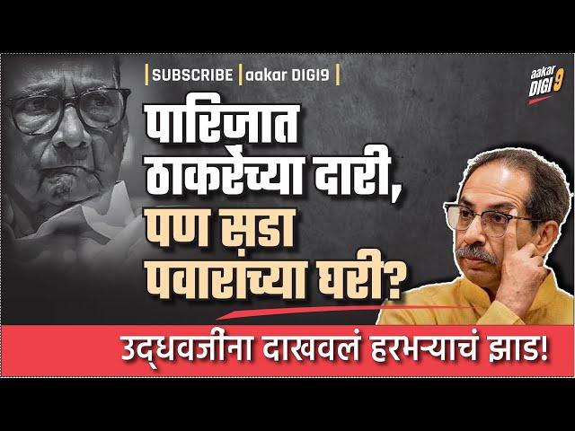 पारिजात ठाकरेंच्या दारी, पण सडा पवारांच्या घरी? उद्धवजींना दाखवलं हरभऱ्याचं झाड!