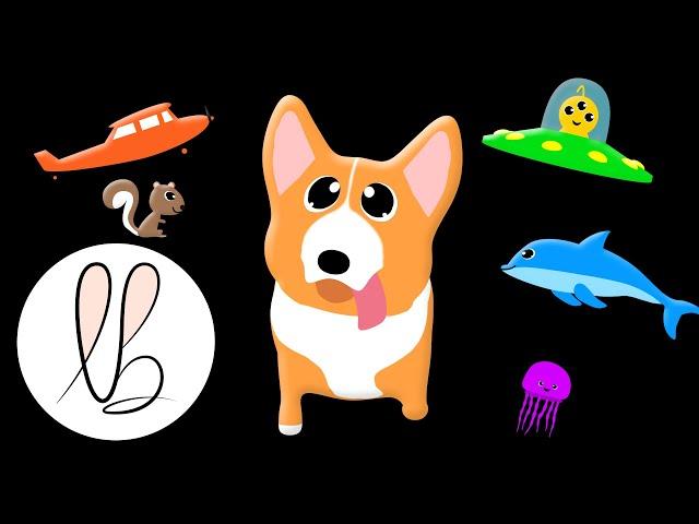 Corgi Adventures! Fun Music and Animation ! High Contrast Sensory - Lottie Bunny