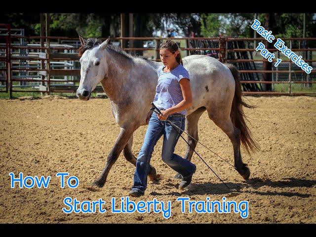 How To Start Liberty Training With Your Horse (Basic Exercises Part 1)