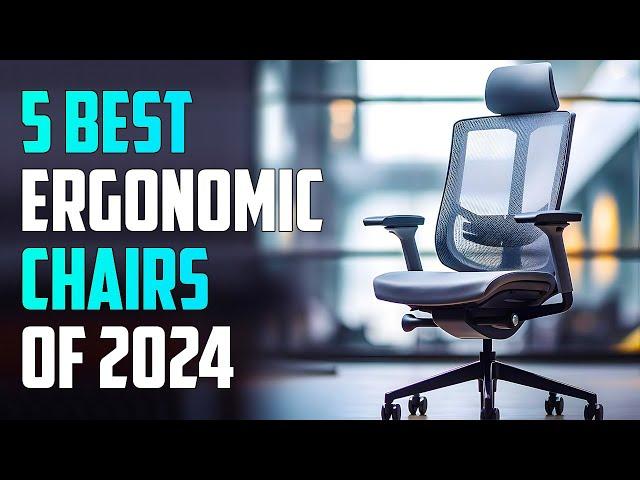 5 Best Ergonomic Office Chairs 2024 | Best Ergonomic Chair 2024