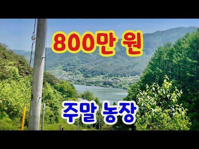 [147] 거창땅 거창촌땅 주말농장 800만 원