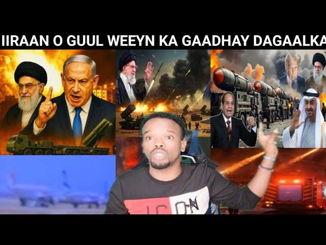 IIRAAN O LA WAREEGTAY HAWADA SRL MADAAFIICNA KU HARQISAY XAYFA & TALABIIB CARABTI O MARYAHA TUURTAY,