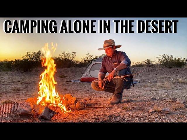 Desert Camping Alone & Wild Food Foraging(Cactus & Yucca)