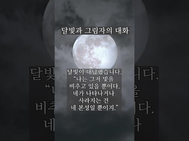 달빛과 그림자의 대화 #선명상#진우스님 #조계종