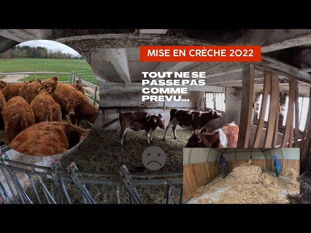 Mise En Crèche 2022 !!!