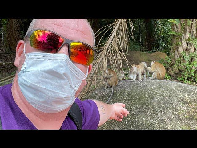 Penang Botanical Gardens!!    Searching For Monkeys in Malaysia!!