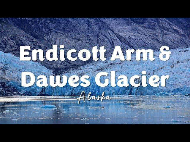 Endicott Arm and Dawes Glacier | Alaska Cruise | Celebrity Solstice