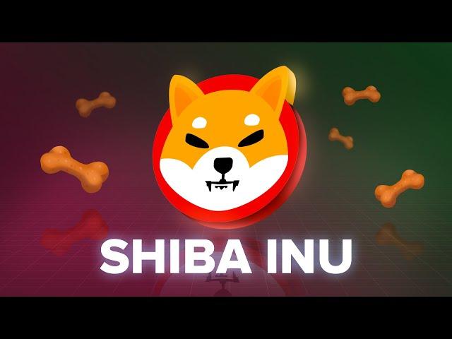 What is the Shiba Inu Coin? SHIB Explained with Animations