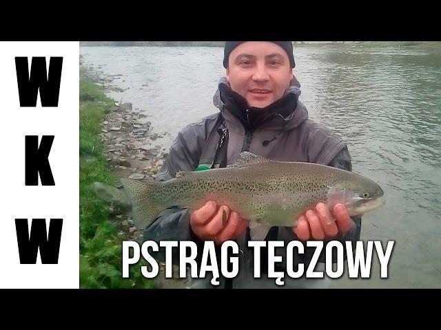 Pstrąg Tęczowy - wędkowanie w górach| Tatry - Biały Dunajec |Wędkarstwo muchowe|