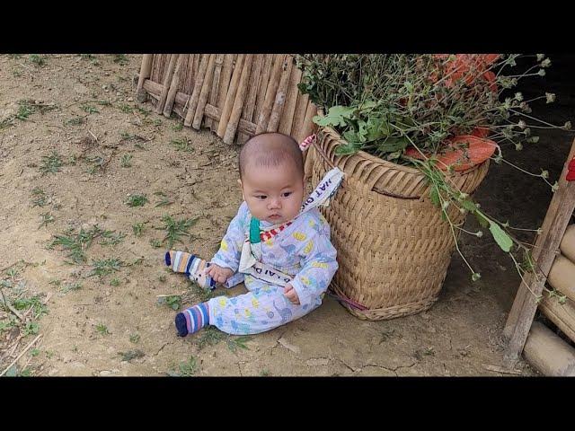 Single mother - Taking her child to pick medicinal herbs to sell