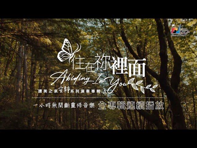 一小時【靈修音樂】全專輯連續播放 「住在祢裡面」Abiding In You 讚美之泉安靜系列 (03) Devotional Instrumental Album