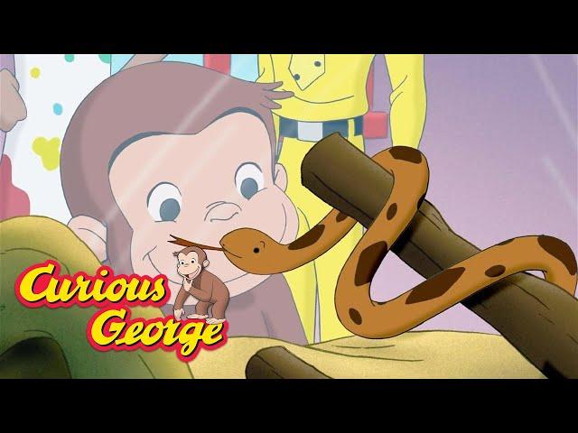 George's New Snake Friend!  Curious George  Kids Cartoon  Kids Movies