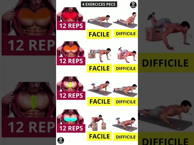 4 exercices pour les pecs (musculation à la maison sans matériel)