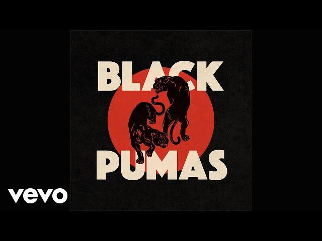 Black Pumas - Touch The Sky (Official Audio)