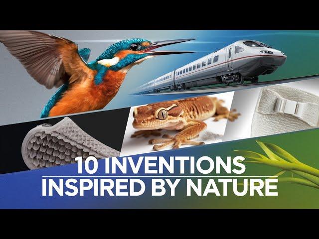  Top 10 Revolutionary Inventions Inspired by Nature!