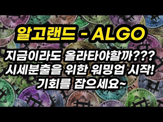 알고랜드 - ALGO 투자포인트│지금이라도 올라타야할까??? 시세분출을 위한 워밍업 시작! 기회를 잡으세요~