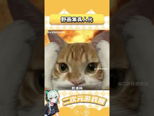 小韩你。。。#二次元#游戏#韩漫#野画集 1747909733169