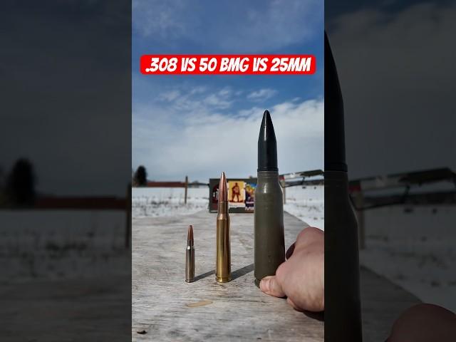 25mm Bushmaster is HUGE (Want Me To Fire It?) #civtac #gun #50bmg