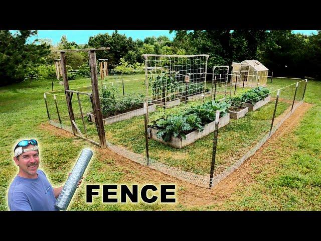 Install a FENCE around the GARDEN stop Groundhogs Rabbit Deer Squirrels Raccoon Animals