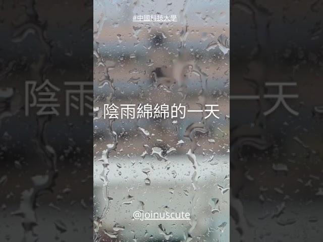 陰雨綿綿的一天   我的心情如同一層薄薄的的霧 忽濃忽淡