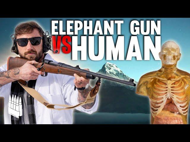 Elephant Gun Vs Human