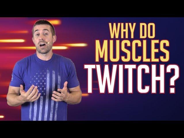 Why Do Muscles Twitch?