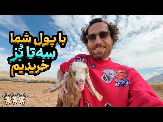 ورود حماسی خانواده‌ی بُزها به مزرعه